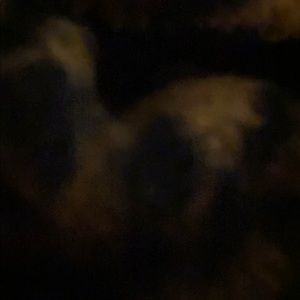 Meet your Posher, Sidney